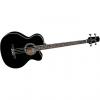 Custom Takamine EGB2S-BK G Series Acoustic/Electric Guitar - Black (091)