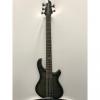 Custom Fernandes Tremor 5 X Tony Campos Signature Electric Bass - See Thru Black Satin