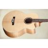Custom Teton STB130FMCENT Acoustic Electric Bass #1 small image