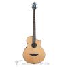 Custom Breedlove Solo Bass Acoustic/Electric Bass Guitar-Natural - SLBAEBG - 875934005700 #1 small image