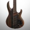 Custom ESP LTD B1004SE NS Electric Bass, Swamp Ash