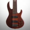 Custom ESP LTD D-6 Neck-Thru 6-String Electric Bass Guitar