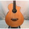 Custom Breedlove Solo Fretless Acoustic Bass