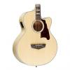 Custom D'Angelico Mott Cutaway Acoustic Bass Natural #1 small image