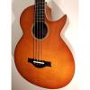 Custom Pellerin Guitars Acoustic Bass (Boutique)