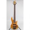 Custom LTD H-1005SE 5-String Bass Guitar