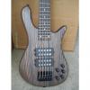 Custom Bass guitar, Zebra wood body, active, , 5 string