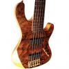 Custom Cort Rithimic V Jeff Berlin 5-String Bass