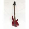 Custom ESP LTD B-104 Electric Bass