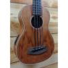 Custom New Kala U-Bass Bubinga Fretted Acoustic Electric Ukulele Bass Natural Satin w/Gigbag