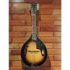 Custom Gretsch New York Deluxe Electric Mandolin #1 small image