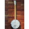 Custom Gretsch Dixie Six-String Banjo