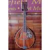 Custom Artistic Resonator Mandolin c1940
