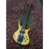 Custom Tobias Toby Pro 5 string Bass w/gig bag #1 small image