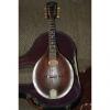Custom Gibson A2 Mandolin 1922 brown, with truss-rod #1 small image