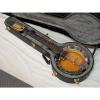 Custom GOLD TONE GT-1200 acoustic electric 12-string BANJITAR Banjo GUITAR new w/ CASE