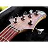 Custom MTD AG-5 Andrew Gouge model with USA upgraded Preamp 5 String bass