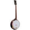 Custom Gold Tone CC-Banjitar Cripple Creek 6-String Banjo - Vintage Brown