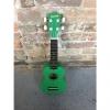 Custom Brand new Savannah SU105GN ukulele - green #1 small image