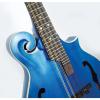 Custom Morgan Monroe MM-300BL F-Style Mandolin Blue