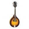 Custom LUNA Trinity A-style MANDOLIN new Solid Spruce Top - Solid Maple Back and Sides