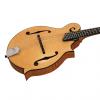 Custom Collings MF Style F Mandolin Fully Carved #1 small image