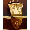 Custom NEW Complete Ashton Bailey AB-TP/G Gold Mandolin High mass Tailpiece w/ Matching Strap Pin &amp; Screws #1 small image