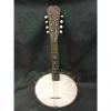 Custom Slingerland  8-string Banjolin vintage