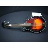 Custom A Fancy F Style Windaroo Mandolin in Great Ready to Play Condition #1 small image