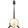 Custom Harmony Roy Smeck 5-String Banjo 1960's??