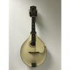 Custom Gibson A3 Mandolin 1920 Ivory