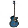 Custom Electric Acoustic Bass Guitar Blue With Equalizer Solid Construction New