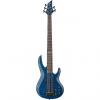 Custom ESP LTD B-155DX 5-String Electric Bass #1 small image