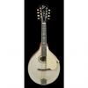 Custom Gibson A-3 Mandolin 1917 #1 small image