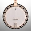 Custom Deering Goodtime 2 Banjo with Resonator, 5-String