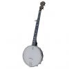 Custom Deering Artisan Goodtime Open-Back Banjo, 5-String #1 small image