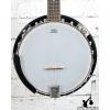Custom Ibanez B50 5-String Banjo Natural