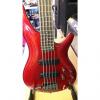 Custom Ibanez SR305 5 String Bass