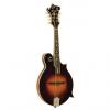 Custom The Loar LM-600-VS Professional Series Gloss Vintage Sunburst F-Style Mandolin with Hand-Carved Top