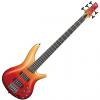 Custom Ibanez SR305E AFM SR Standard 5-string Electric Bass - Autumn Fade Metallic #1 small image