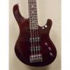 Custom PRS SE  Kingfisher 4 String Bass 2015 Tortise w/ Se Branded Gibag