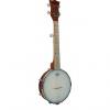 Custom Plucky Banjo Gold Tone (+ housse)
