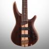 Custom Ibanez SR1805E SR Premium Electric Bass, 5-String, Natural Flat