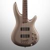 Custom Ibanez SR300E Electric Bass, Metallic Gray #1 small image