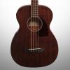 Custom Ibanez PCBE12MH Acoustic Bass, Open Pore Natural