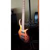 Custom Elrick 5 String Gold Series Bass 1998 Multi-Color #1 small image