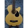Custom Greg Bennett AB2 Acoustic Bass with Pickup #1 small image