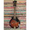 Custom 1966 Gibson EM-200 Electric Mandolin