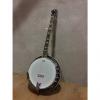 Custom Tanglewood TWB-USA-5 5 String Banjo, 24 Brackets, Remo Vintage Renaissance Head,  Tone Ring,  Mahogany Resonator HI Gloss Finish