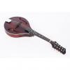 Custom Eastman MD305 All Solid Wood A Style Mandolin #1 small image